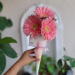 Cono de gerberas