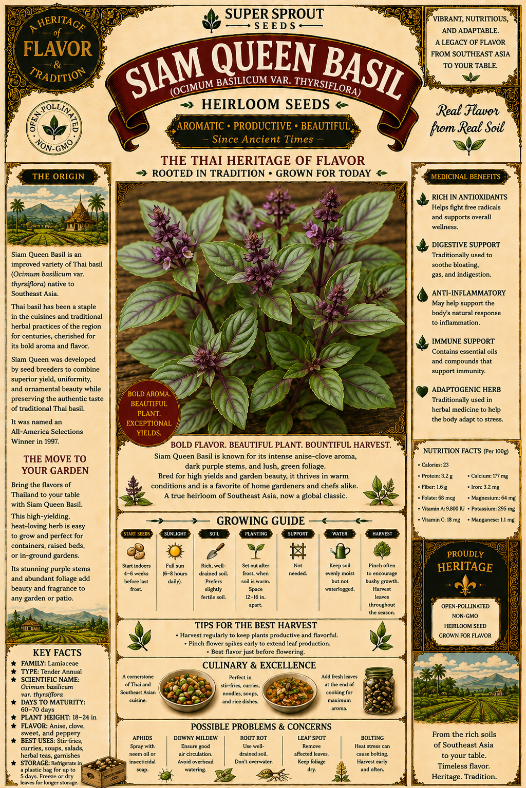 🌱THAI BASIL🌱 x 15 seeds_1