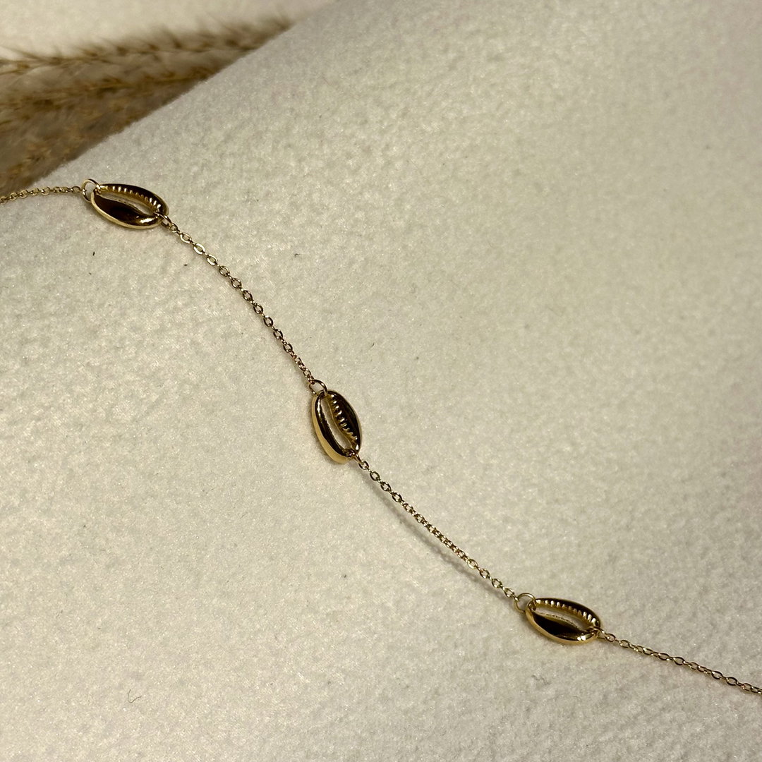 Bracelet Cauris