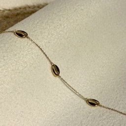 Bracelet Cauris
