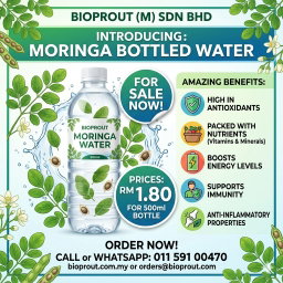 Moringa Water