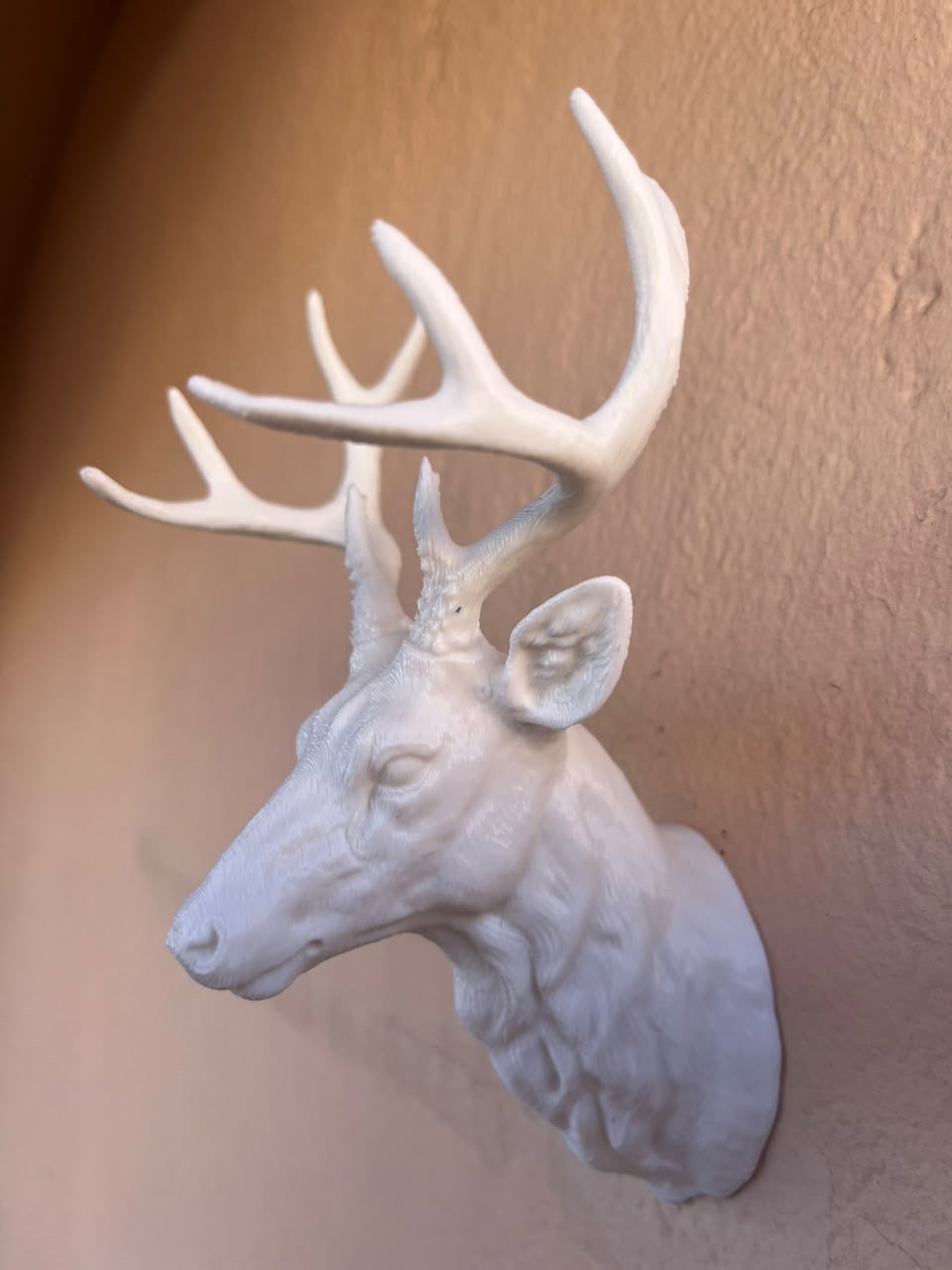 Deer Bust Bottle Opener_3