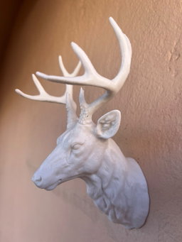 Deer Bust Bottle Opener