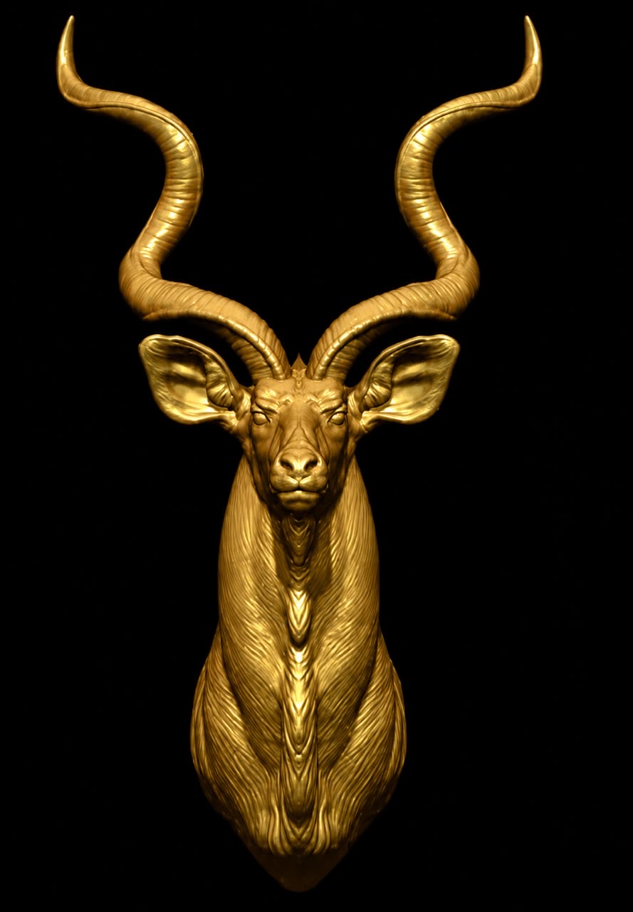 Kudu bust Wall Hook    _2