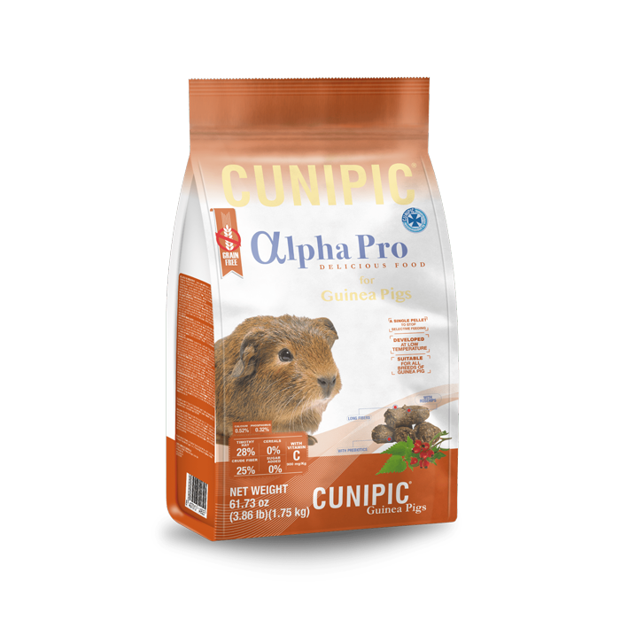 Alpha Pro _6