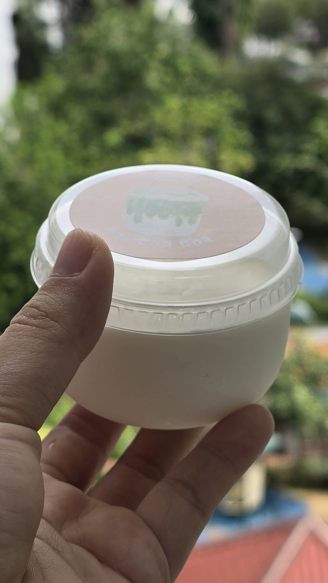 Japanese milk pudding