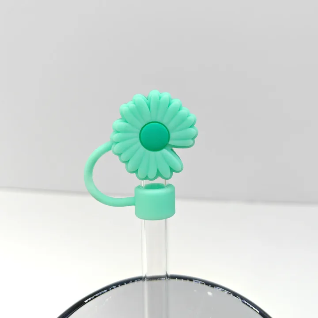 TOPPERS POUR PAILLE _16