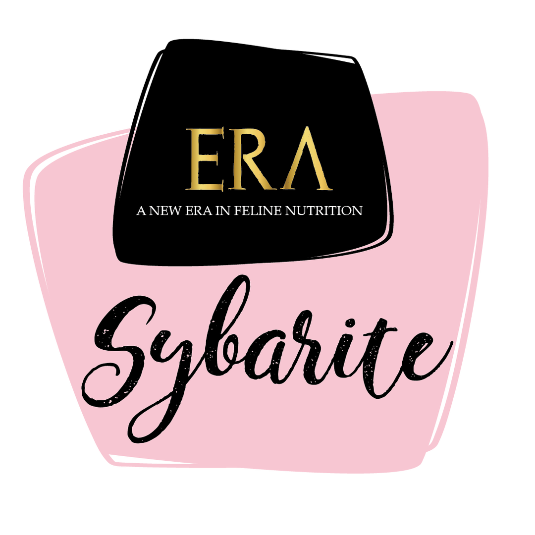 ERA Sybarite Gato (Pack 24U)