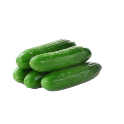 Salad Cucumber 1kg