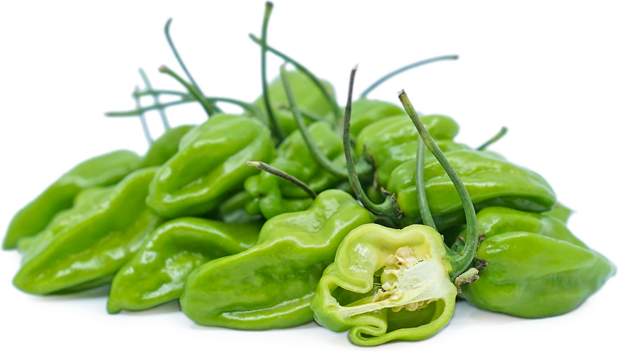 Nai Miris 1kg Green