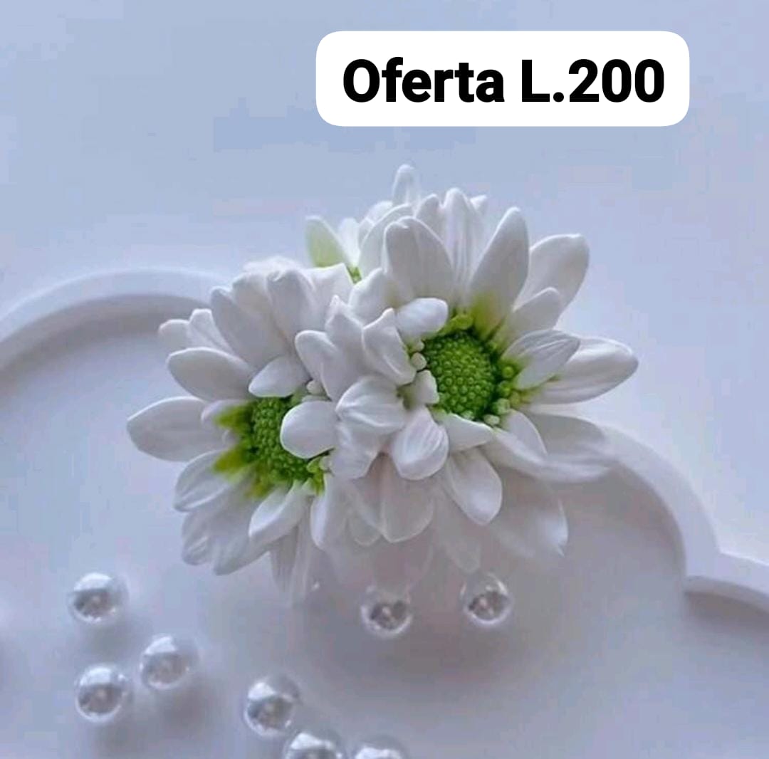 Molde de flores 