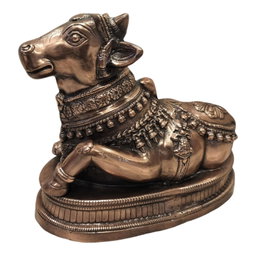 Sharu Space Nandi - 14"-17"