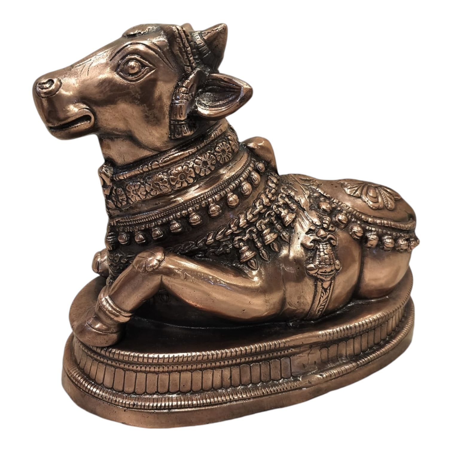 Sharu Space Nandi - 14"-17"