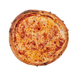 NY CHEESE 