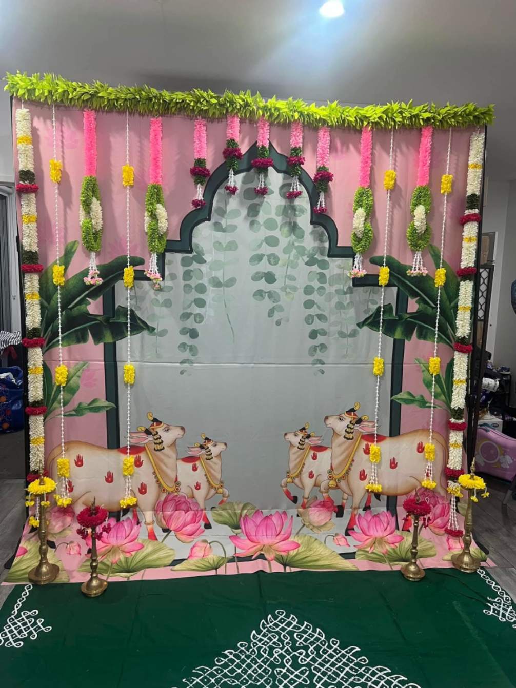 Sharu Space Baby Pink Cow Backdrop Combo_0