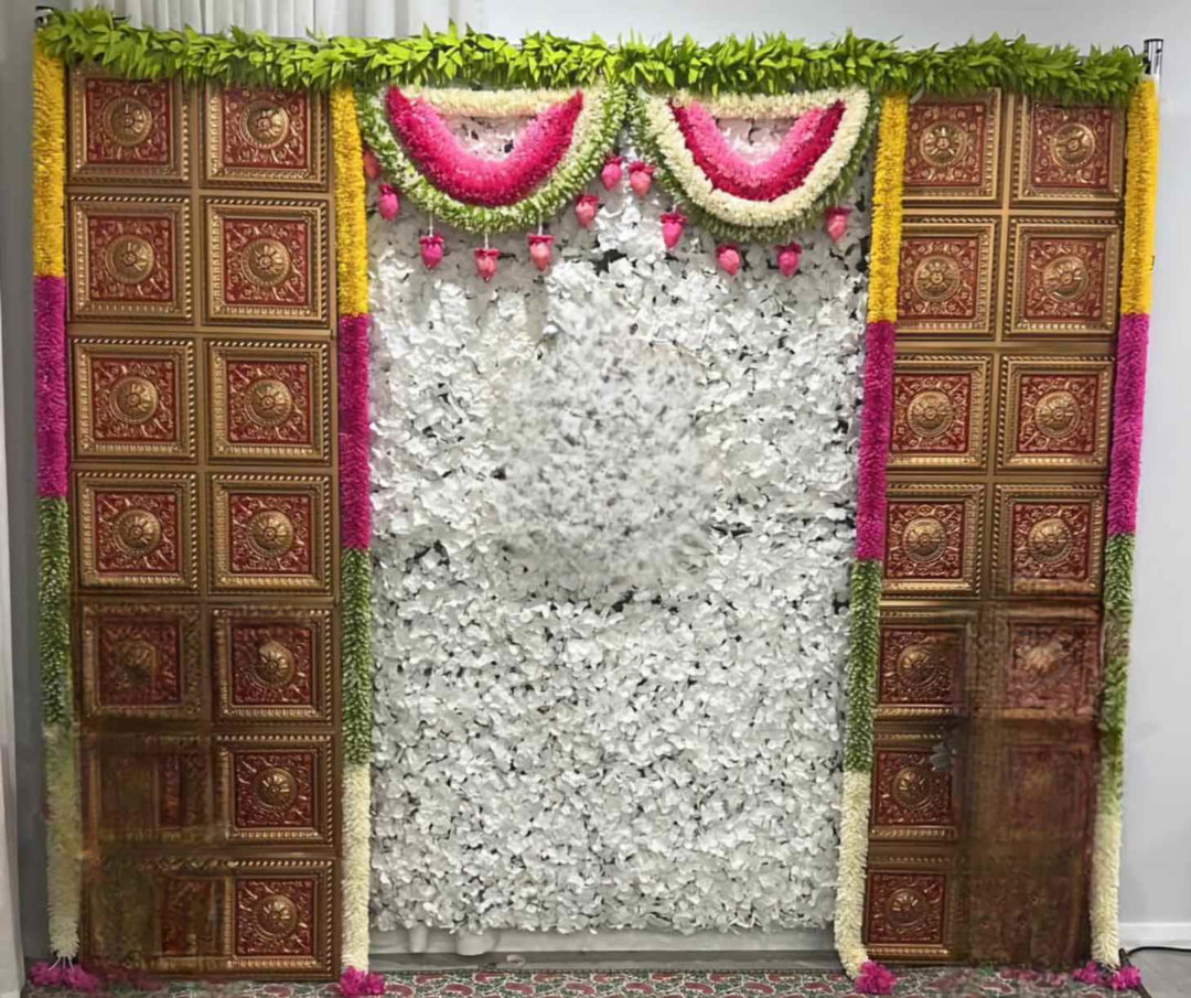 Sharu Space White Backdrop with Panels Backdrop Combo