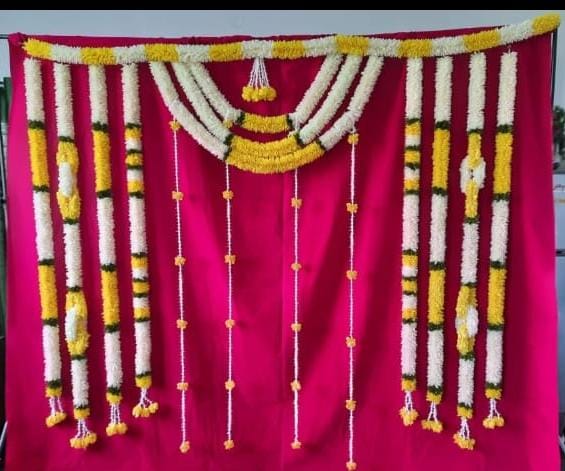 Sharu Space Velvet Pink Backdrop Combo with Fabric and Lilly Strings Set - 8ftx9ft_0