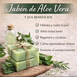 Base Áloe Vera
