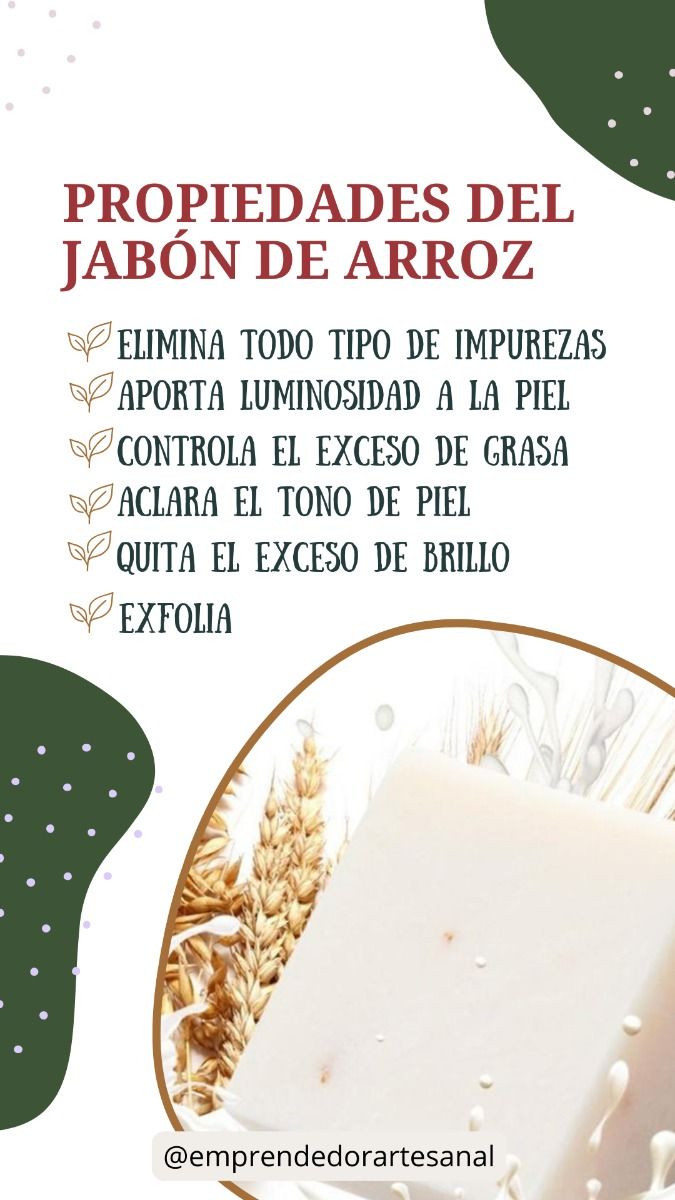 Base de Arroz _1