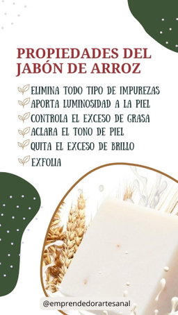 Base de Arroz 
