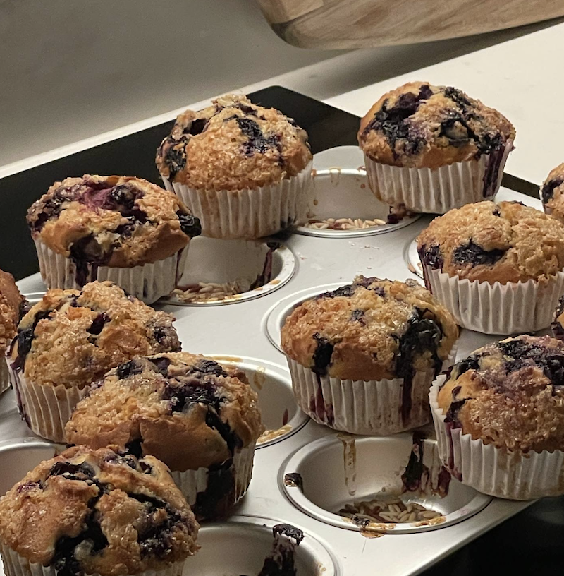 blueberry muffin_0