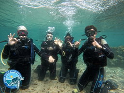 غوص Diving