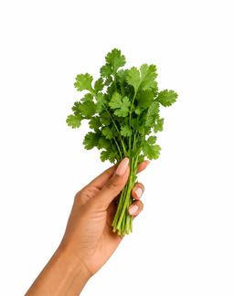 Coriander leaves x 1bunch