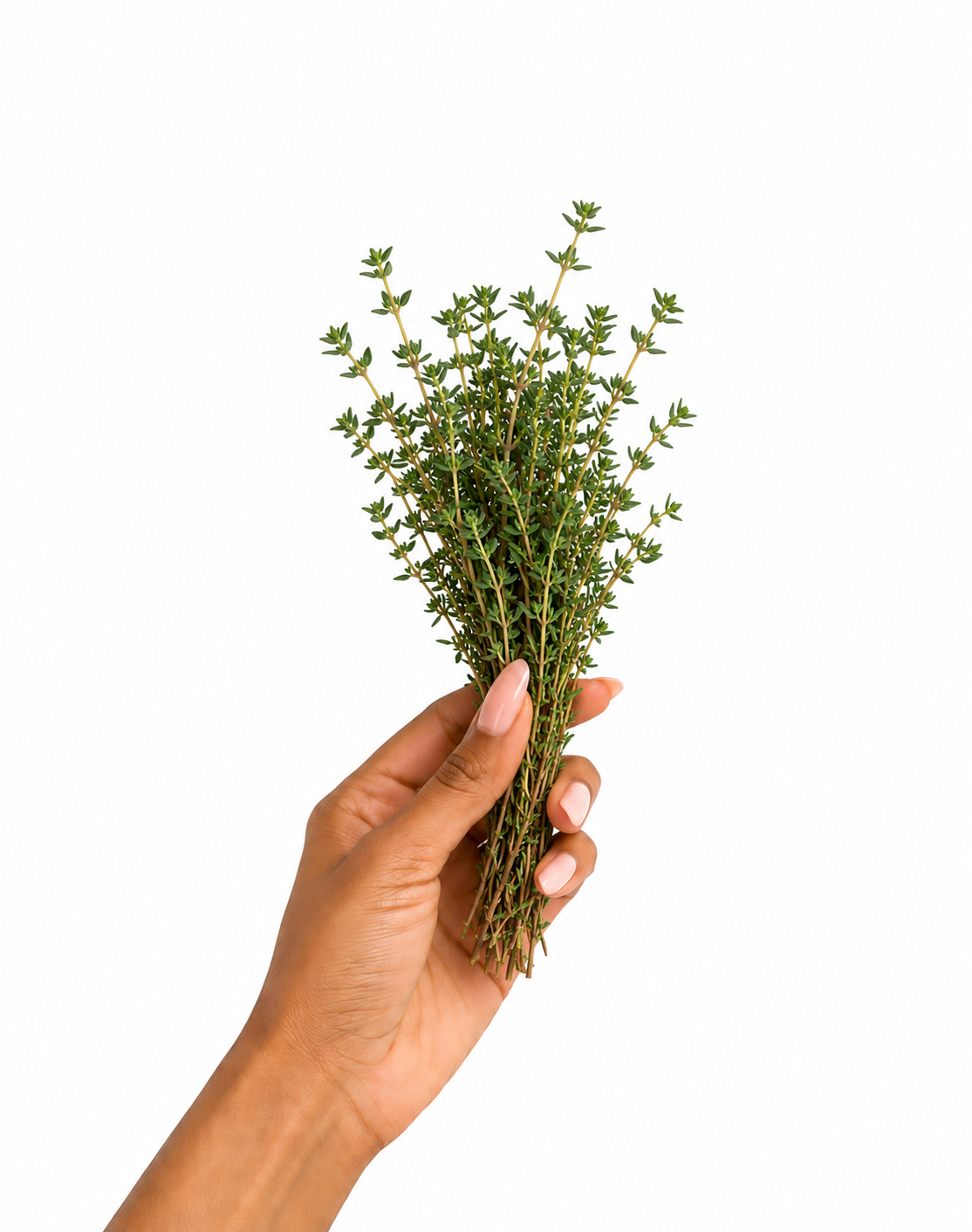 Fresh thyme leaves x 1 bunch_0
