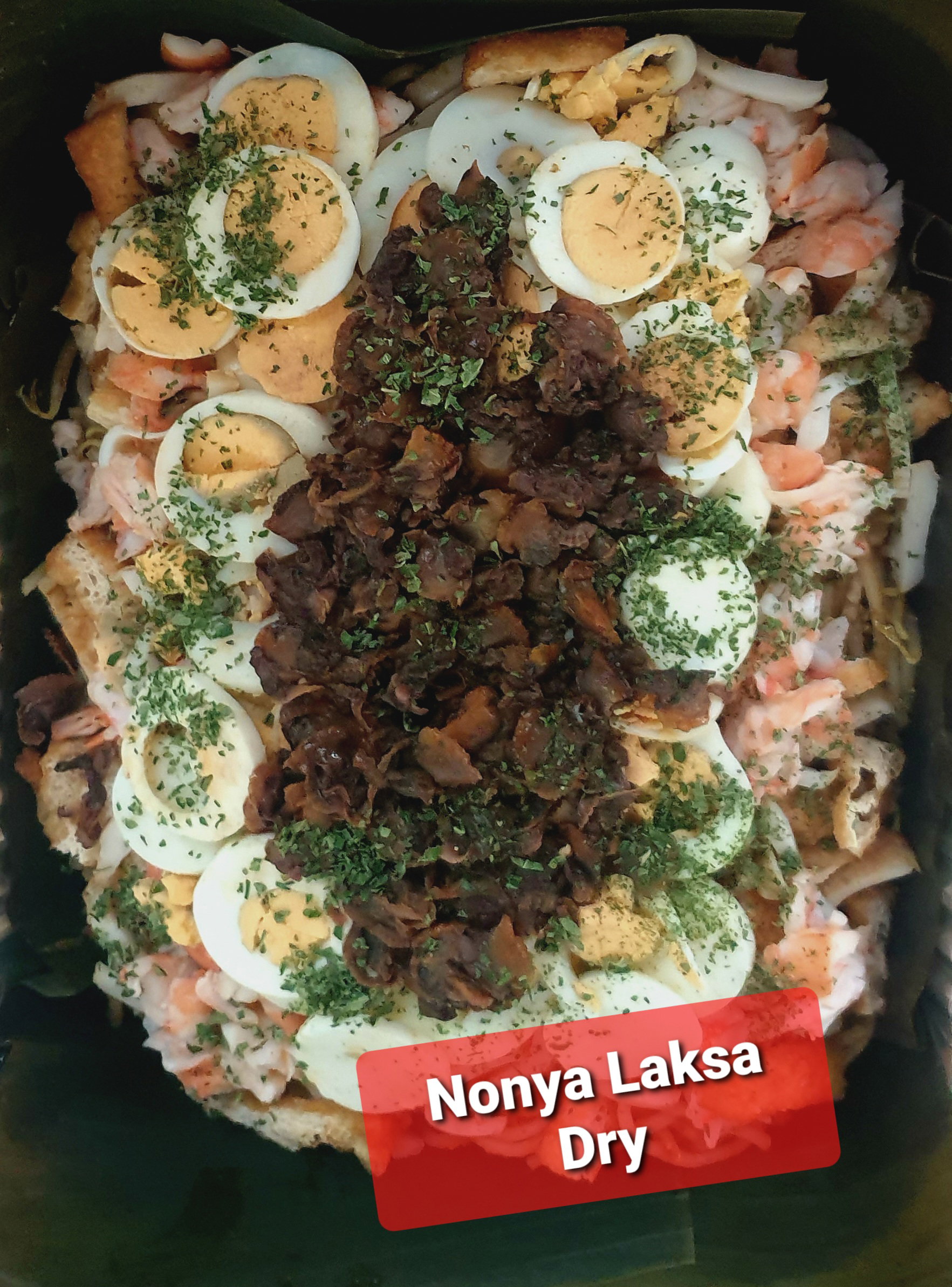 Nyonya Laksa Dry _0