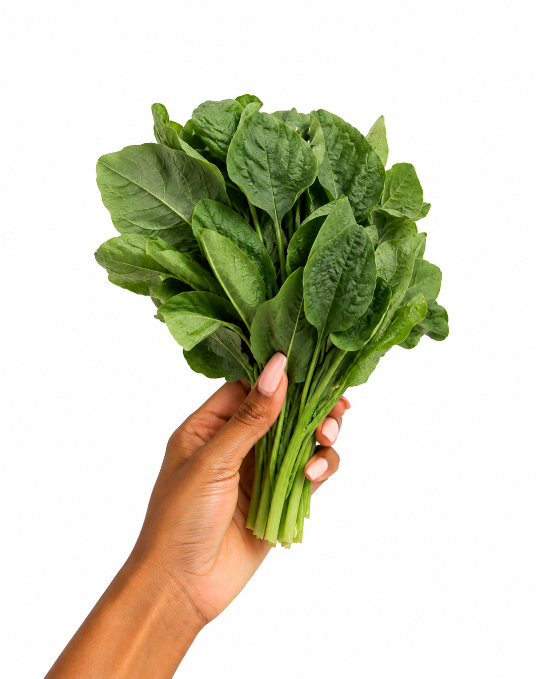 Fresh spinach x 1bunch