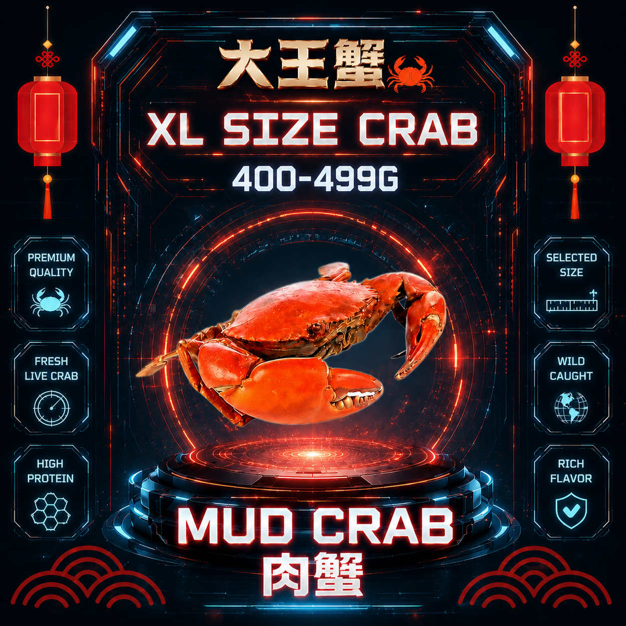 XL SIZE 肉蟹 (400-499G)_0