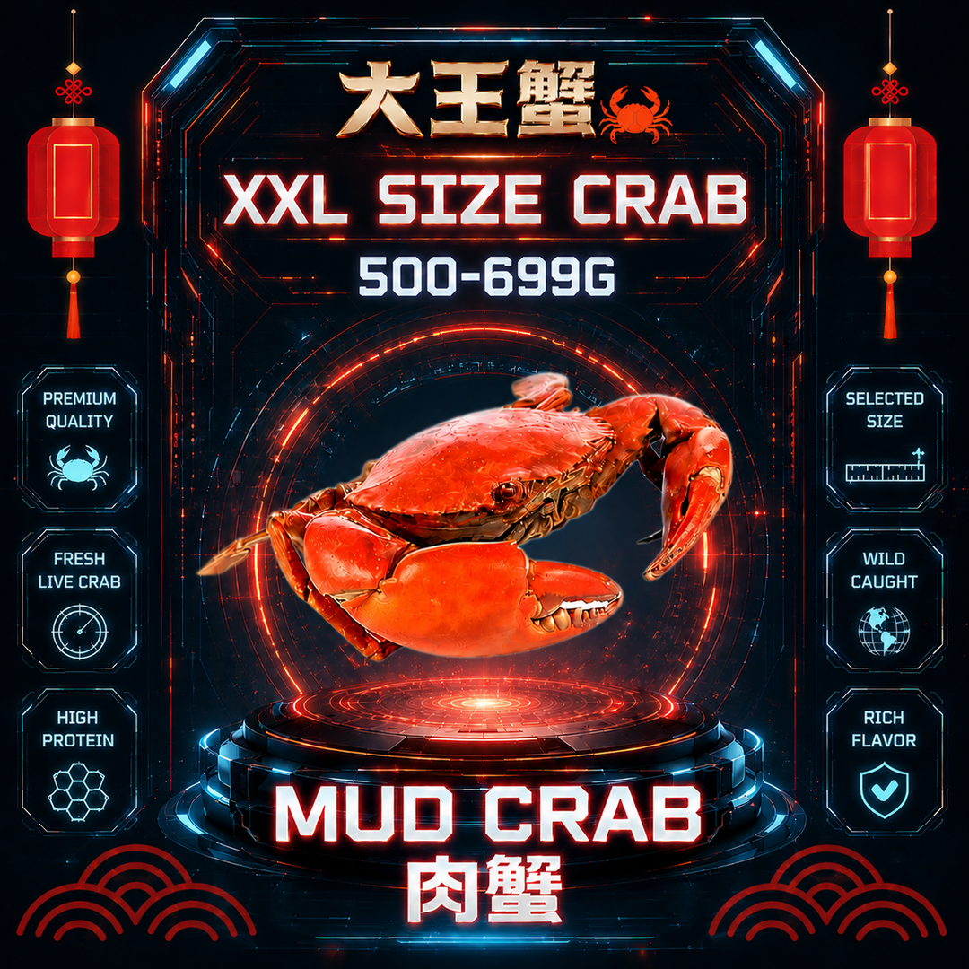 XXL SIZE 肉蟹 (500-699G)