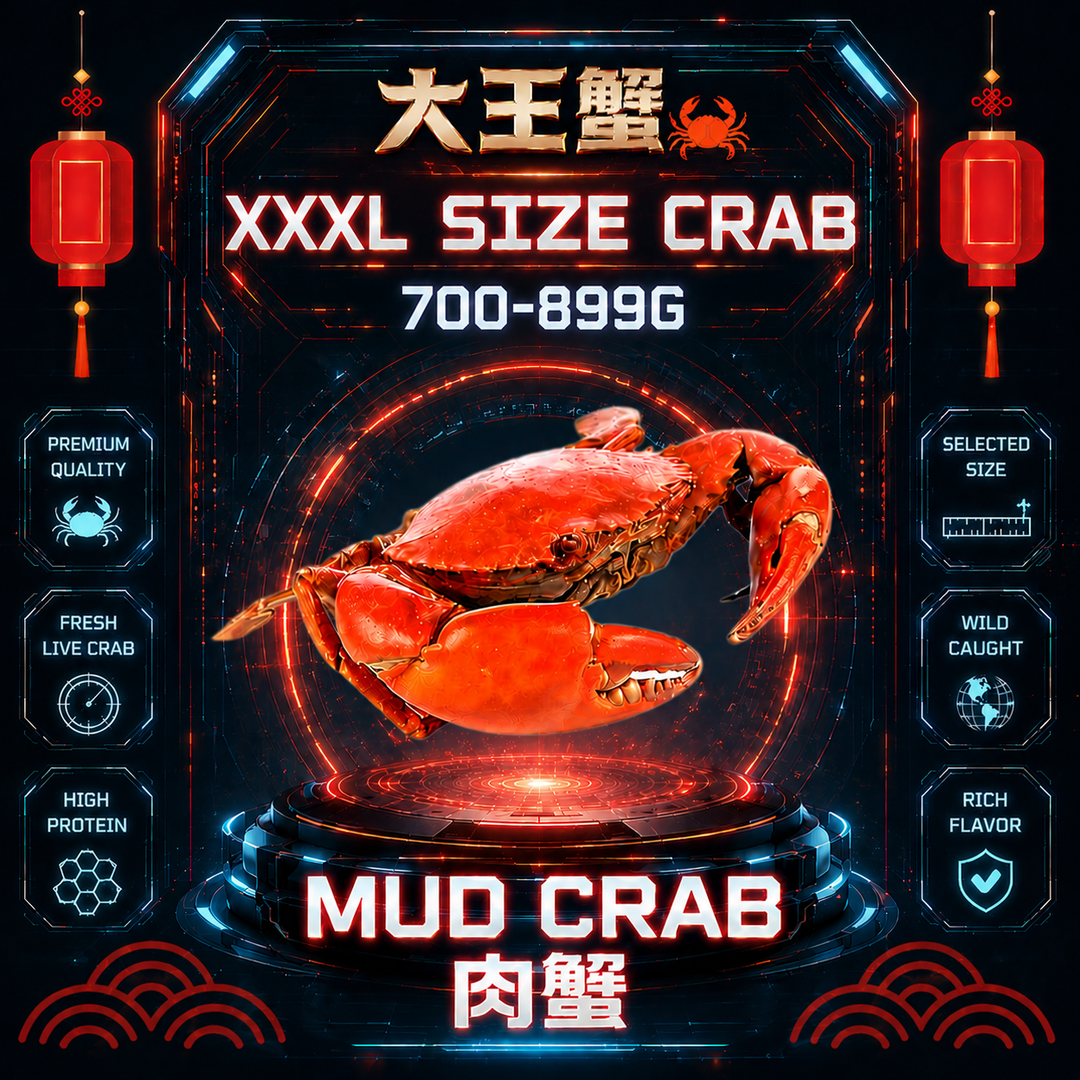 XXXL SIZE 肉蟹 (700-899G)