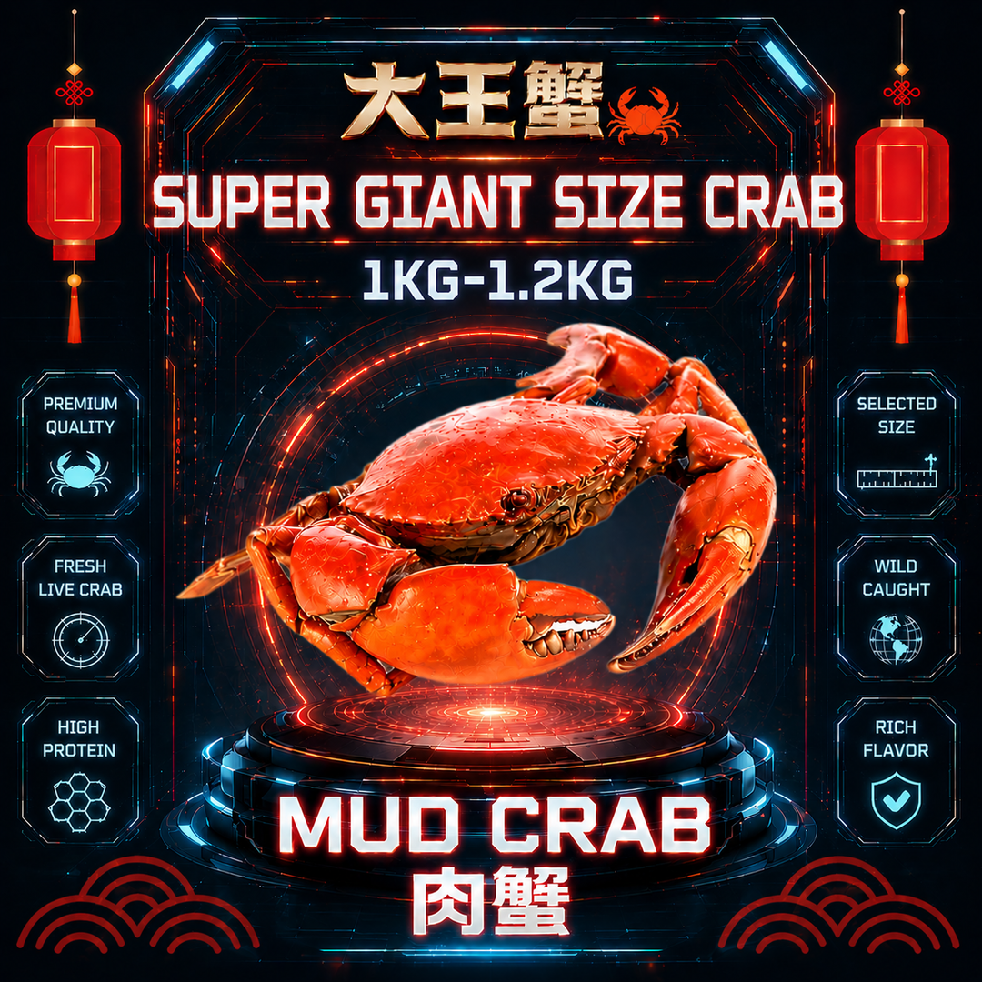 GIANT SIZE 肉蟹 x 1只pcs (900G UP)