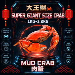 GIANT SIZE 肉蟹 x 1只pcs (900G UP)