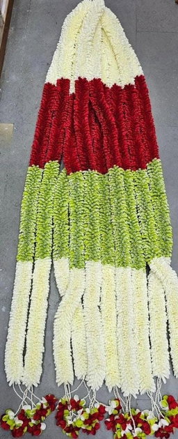 Sharu Space 3 Color Combo String - 6ft