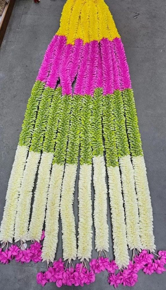 Sharu Space 4 Color Combo String - 6ft