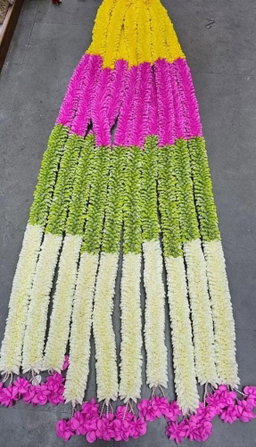 Sharu Space 4 Color Combo String - 6ft