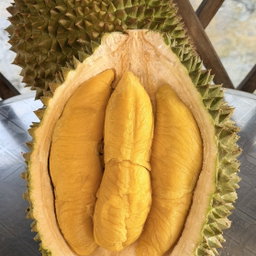 Mao Shan Wang (Musang King)