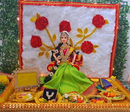 Sharu Space Half Saree/Baby Shower Set