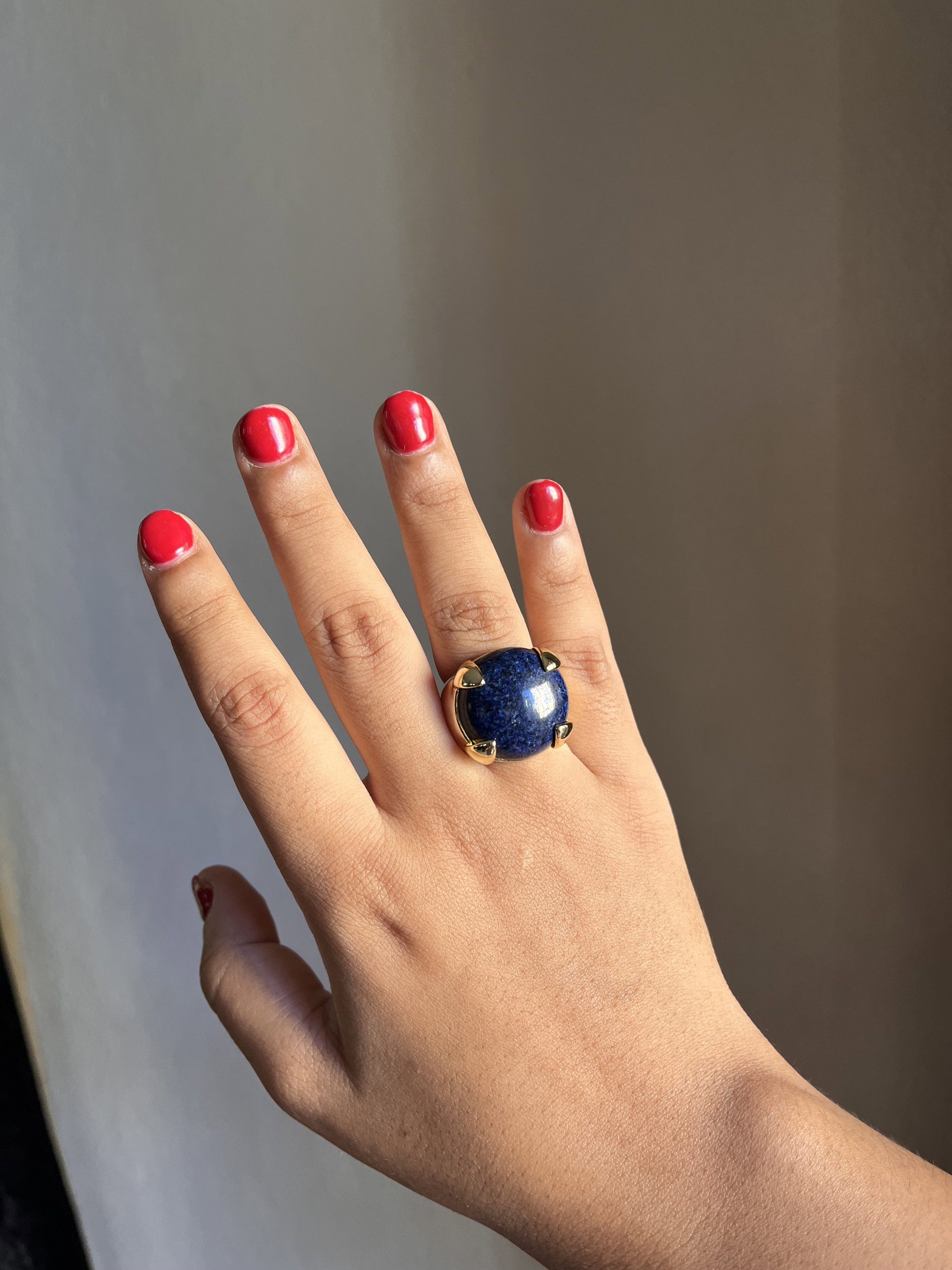 Gabriela’s ring 💜💙_1