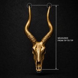 Animal Skulls Rhino Fridge Magnets 