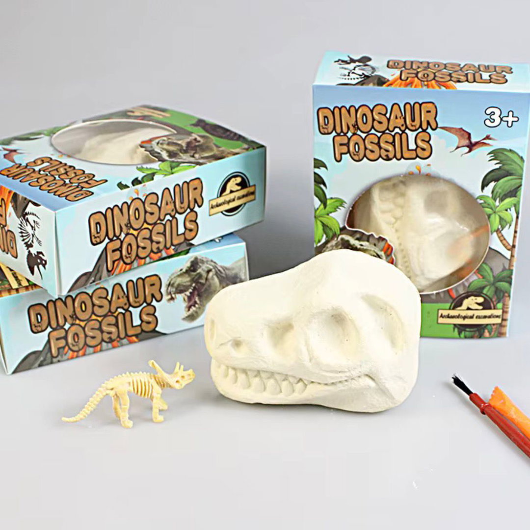 Dinosaur Shaped Dig Kits