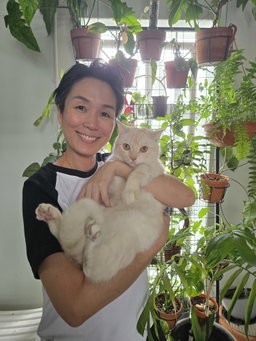 🐱 Standard Cat Sitting