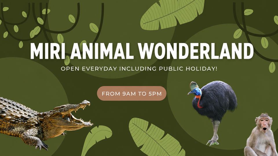 Animal Wonderland MIRI Mini Zoo_3