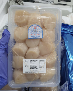 Freshly Shucked Scallops むきホタテ (Size: M)