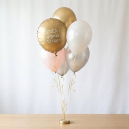 (Misc) Balloons - with Helium
