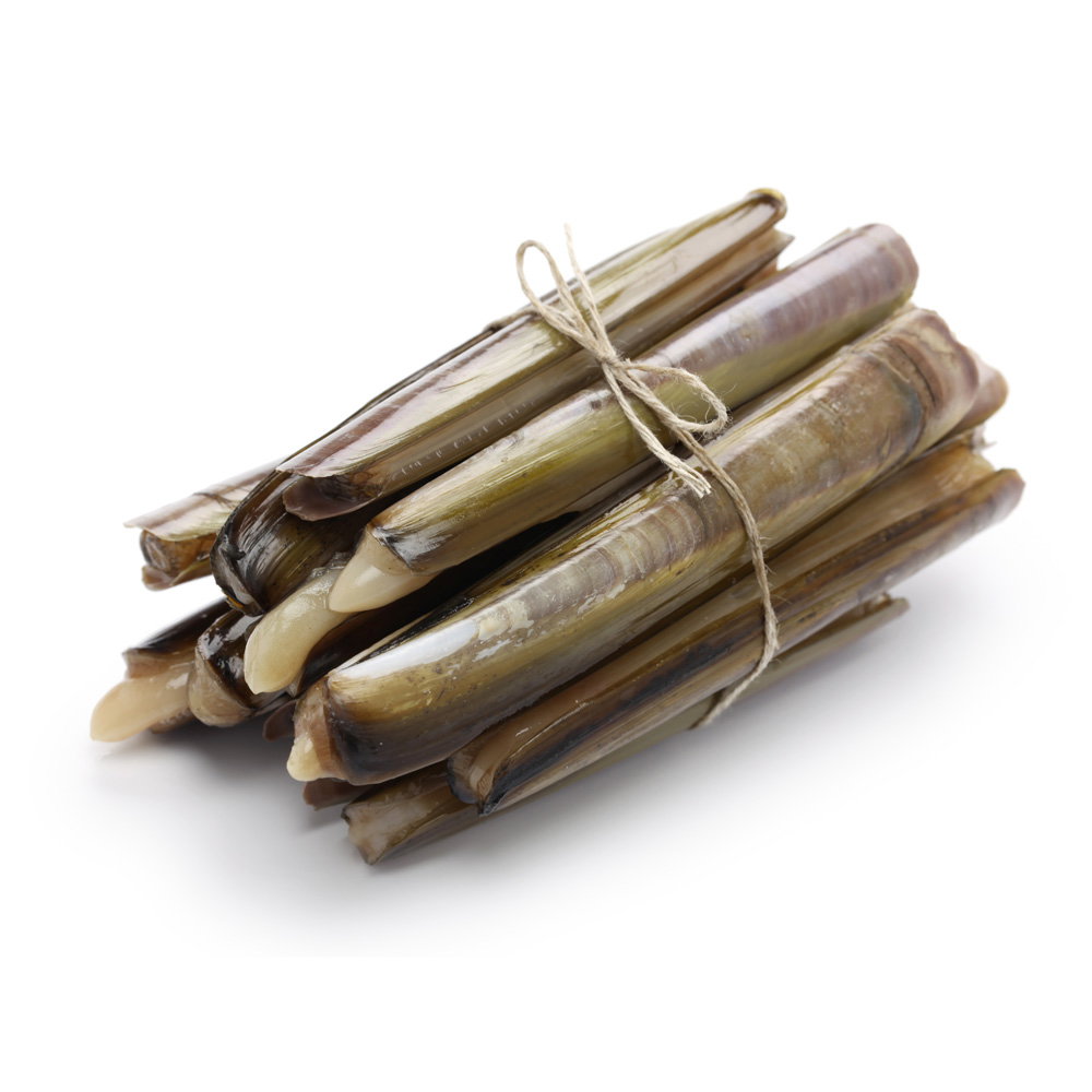 10pots- Bamboo Clam 8/10 (ctn)