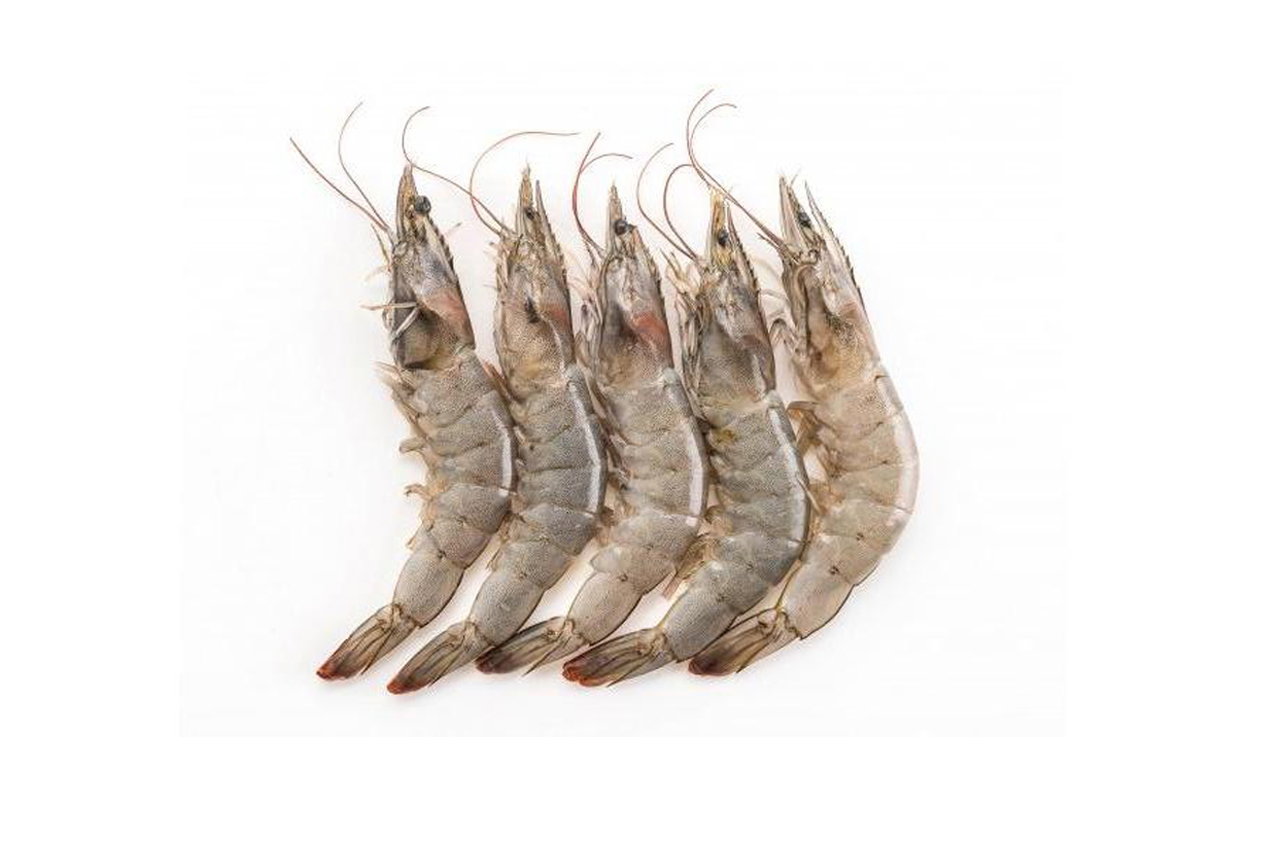 10pots- Prawn Vanamei 41/50 (ctn)_0