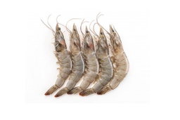 10pots- Prawn Vanamei 41/50 (ctn)
